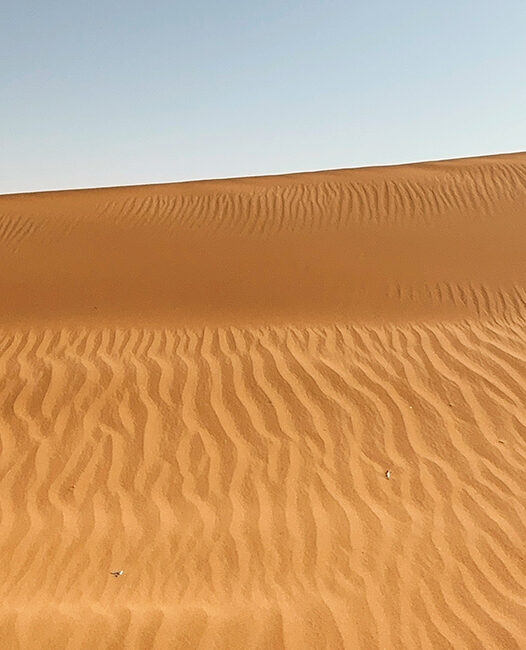 Exploring the Red Sand Dunes in Saudi Arabia for first-time visitors